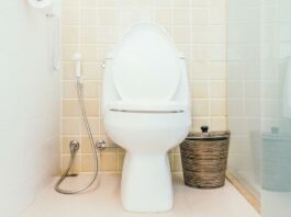 Toilettes japonaises : pourquoi en faire usage ?